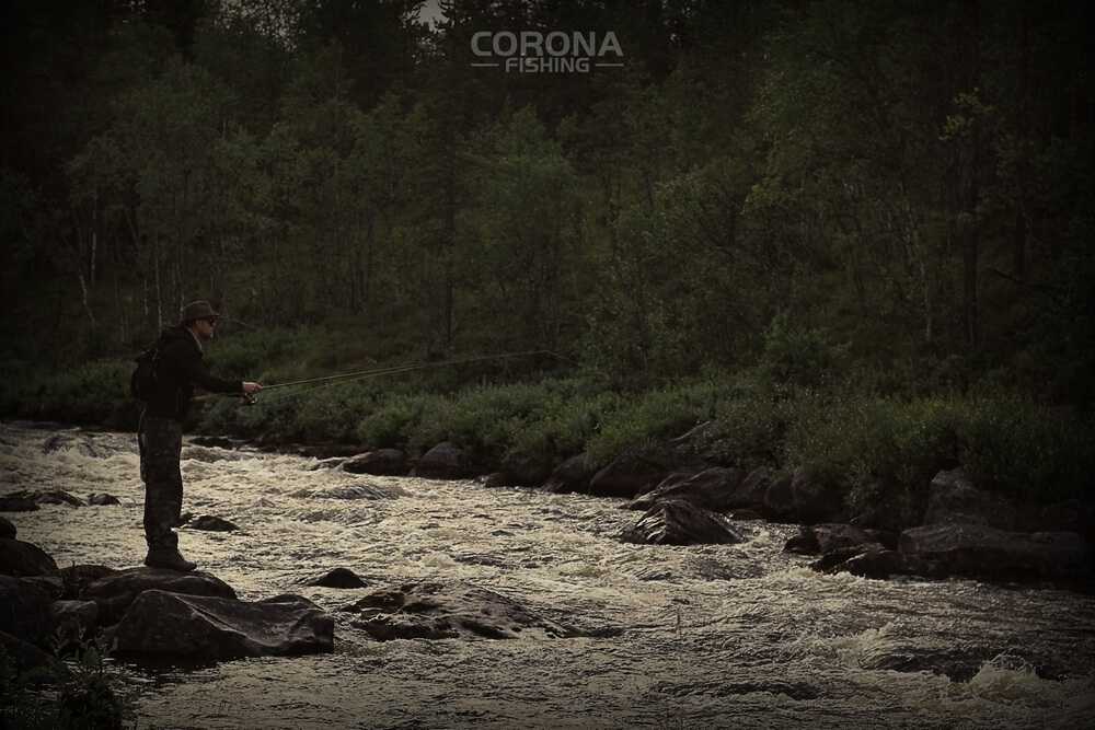 wędkarstwo skandynawia